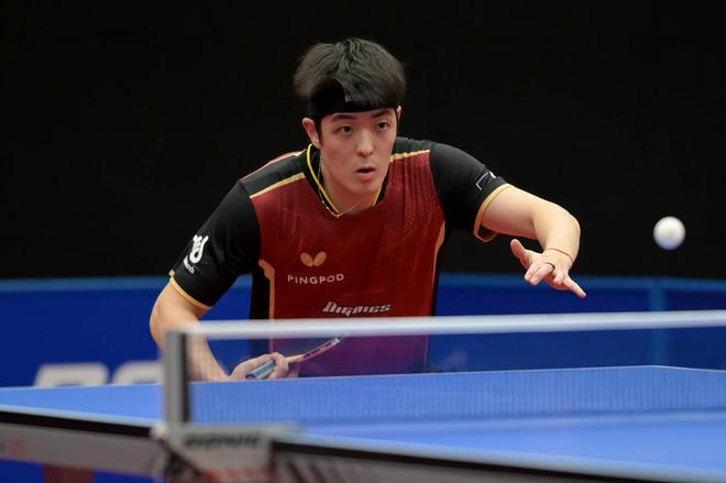 稳定性便会 稳定性便会