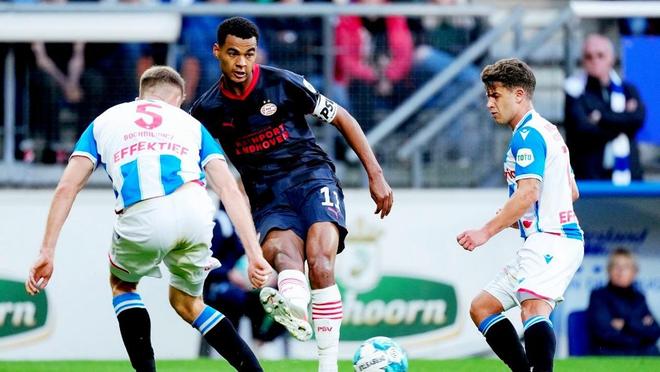 的前荷兰籍 的前荷兰籍