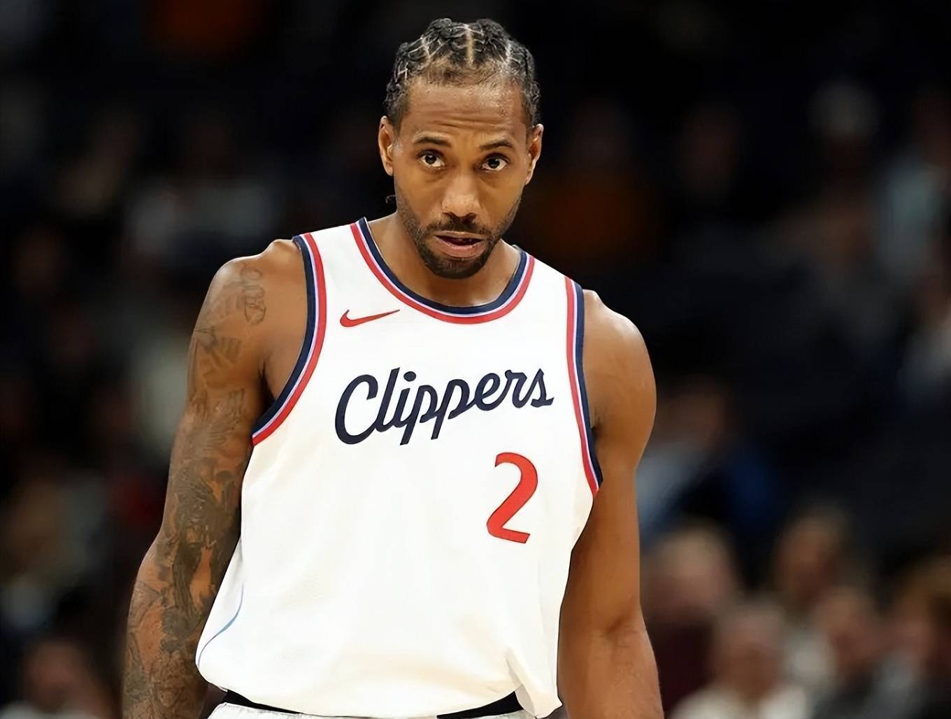 护后场篮板 护后场篮板