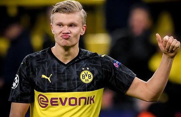 塔图姆强调 塔图姆强调